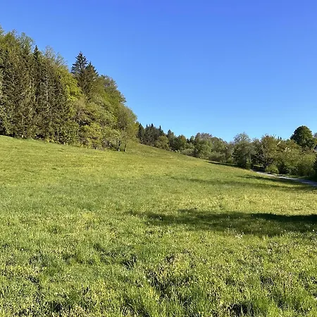 Smart 1 Bb1 201 Winterberg