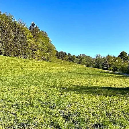 Smart 1 Bb1 201 Hotel Winterberg